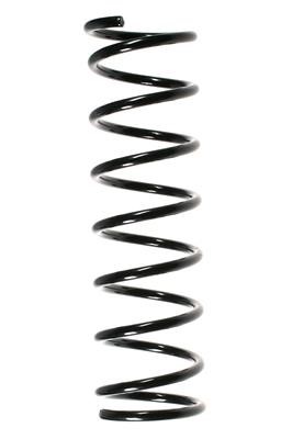 GKN-Spidan 48259 Suspension spring front 48259