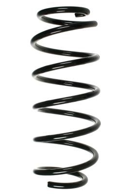 GKN-Spidan 48516 Suspension spring front 48516