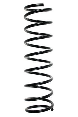 GKN-Spidan 49213 Coil Spring 49213