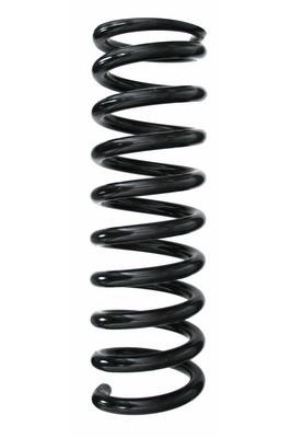 GKN-Spidan 49231 Suspension spring front 49231