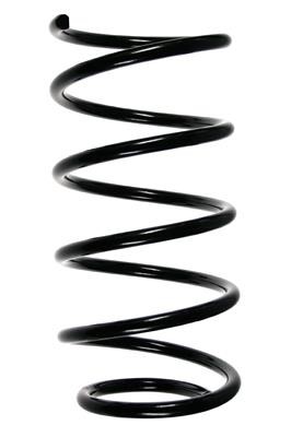 GKN-Spidan 49259 Suspension spring front 49259