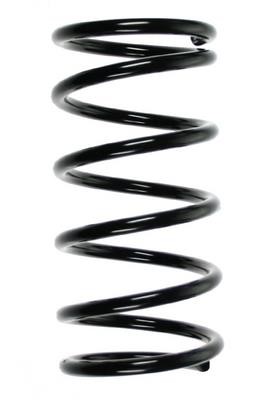 GKN-Spidan 49572 Coil Spring 49572