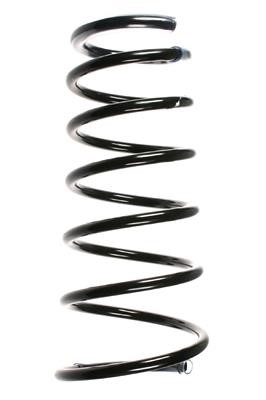 GKN-Spidan 49648 Coil Spring 49648