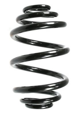 GKN-Spidan 49767 Coil Spring 49767