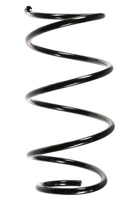 GKN-Spidan 49789 Suspension spring front 49789