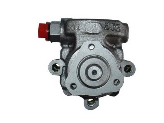GKN-Spidan 53509 Hydraulic Pump, steering system 53509