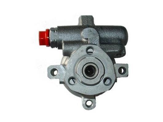 GKN-Spidan 53530 Hydraulic Pump, steering system 53530