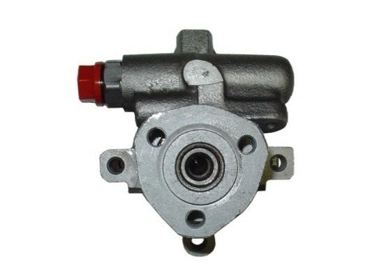 GKN-Spidan 53555 Hydraulic Pump, steering system 53555