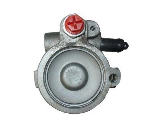 GKN-Spidan 53599 Hydraulic Pump, steering system 53599
