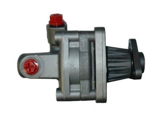 Hydraulic Pump, steering system GKN-Spidan 53616