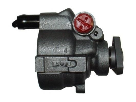 Hydraulic Pump, steering system GKN-Spidan 53672