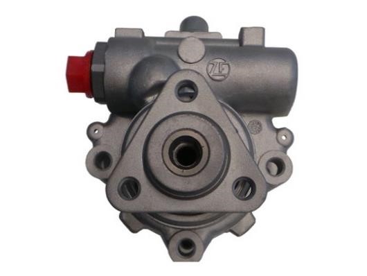 GKN-Spidan 53724 Hydraulic Pump, steering system 53724