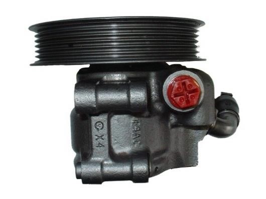 GKN-Spidan 53732 Hydraulic Pump, steering system 53732