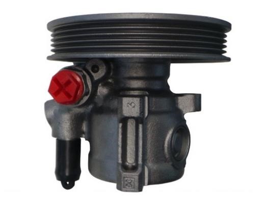 GKN-Spidan 53789 Hydraulic Pump, steering system 53789