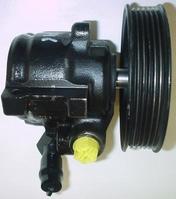GKN-Spidan 53846 Hydraulic Pump, steering system 53846