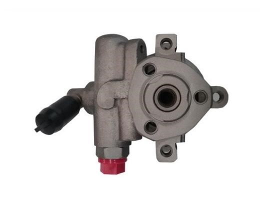 GKN-Spidan 53896 Hydraulic Pump, steering system 53896