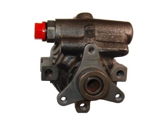 GKN-Spidan 53921 Hydraulic Pump, steering system 53921