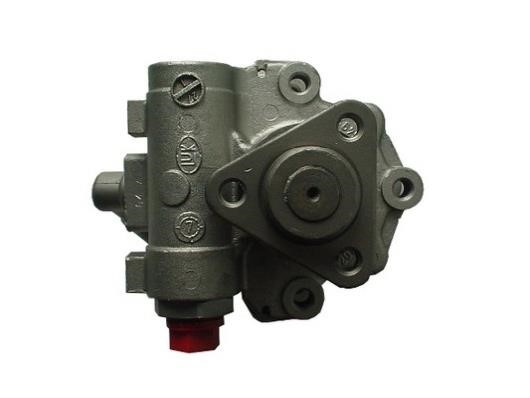 Hydraulic Pump, steering system GKN-Spidan 53956