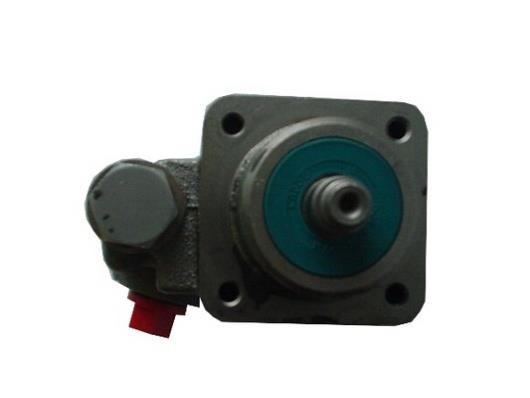 GKN-Spidan 54001 Hydraulic Pump, steering system 54001