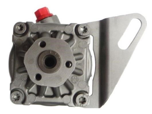 GKN-Spidan 54012 Hydraulic Pump, steering system 54012