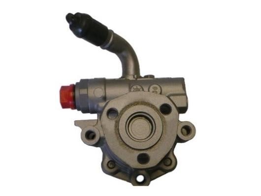 GKN-Spidan 54203 Hydraulic Pump, steering system 54203