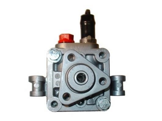 GKN-Spidan 54216 Hydraulic Pump, steering system 54216