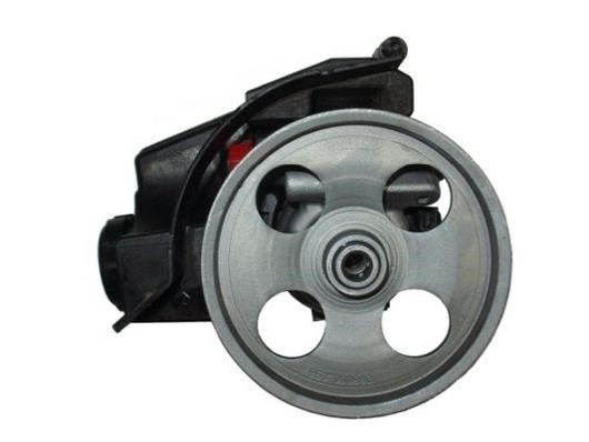 GKN-Spidan 54217 Hydraulic Pump, steering system 54217