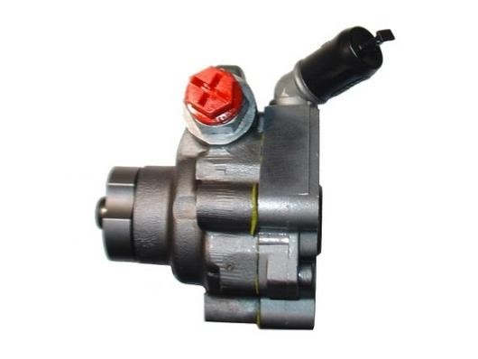 GKN-Spidan 54219 Hydraulic Pump, steering system 54219