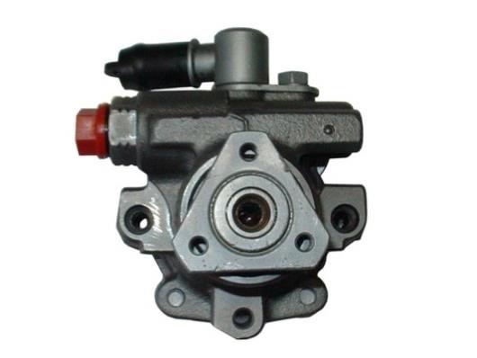 GKN-Spidan 54247 Hydraulic Pump, steering system 54247