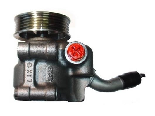 GKN-Spidan 54253 Hydraulic Pump, steering system 54253