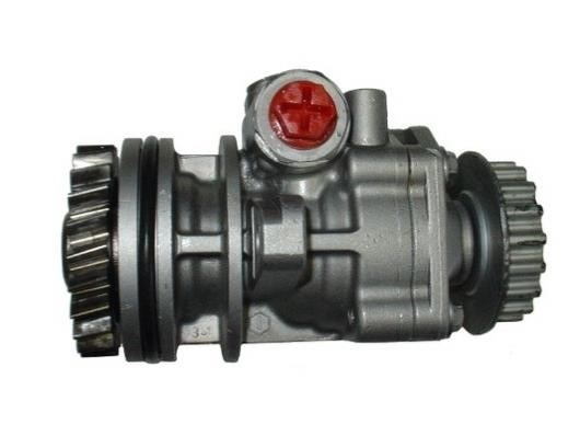 GKN-Spidan 54273 Hydraulic Pump, steering system 54273