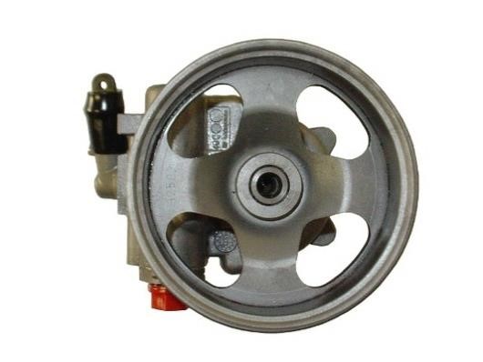 GKN-Spidan 54296 Hydraulic Pump, steering system 54296