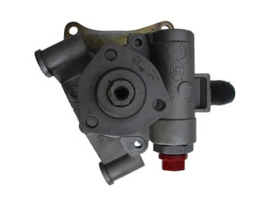 GKN-Spidan 54315 Hydraulic Pump, steering system 54315