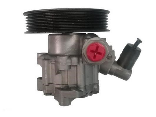 GKN-Spidan 54366 Hydraulic Pump, steering system 54366