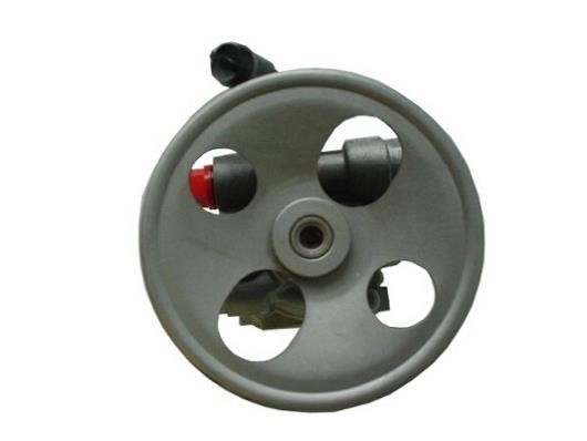 GKN-Spidan 54387 Hydraulic Pump, steering system 54387