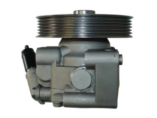 GKN-Spidan 54389 Hydraulic Pump, steering system 54389