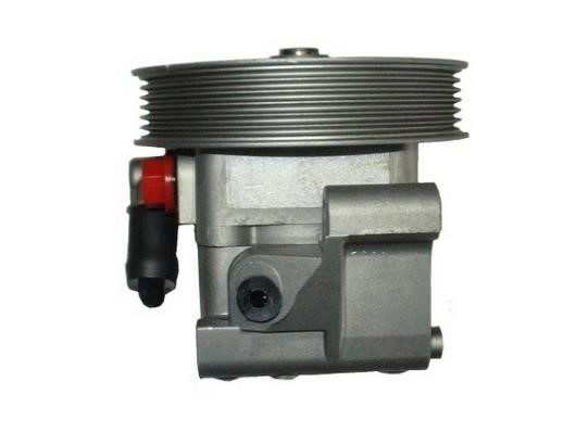 GKN-Spidan 54391 Hydraulic Pump, steering system 54391