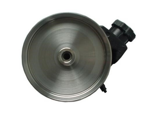 GKN-Spidan 54399 Hydraulic Pump, steering system 54399