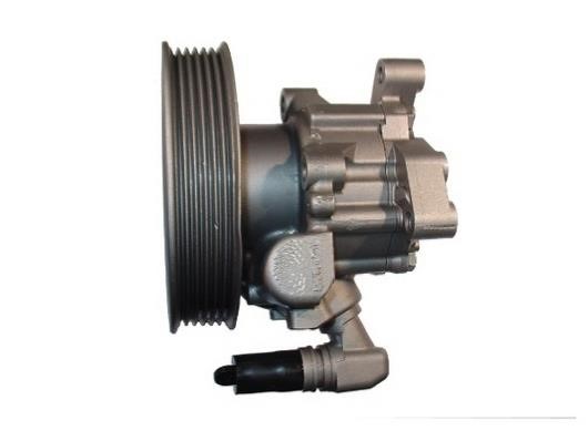 Hydraulic Pump, steering system GKN-Spidan 54416