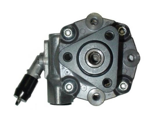 GKN-Spidan 54438 Hydraulic Pump, steering system 54438