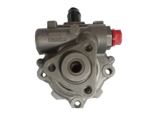 GKN-Spidan 54446 Hydraulic Pump, steering system 54446