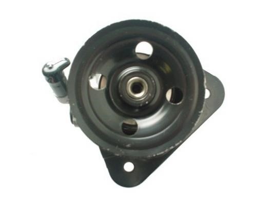 GKN-Spidan 54493 Hydraulic Pump, steering system 54493