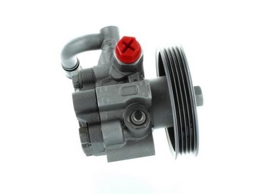 Hydraulic Pump, steering system GKN-Spidan 54578