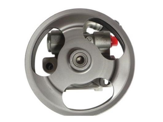 GKN-Spidan 54601 Hydraulic Pump, steering system 54601