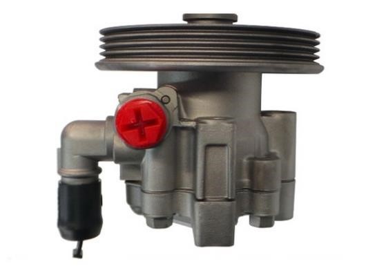 GKN-Spidan 54962 Hydraulic Pump, steering system 54962