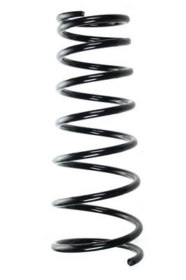 GKN-Spidan 56502 Coil Spring 56502