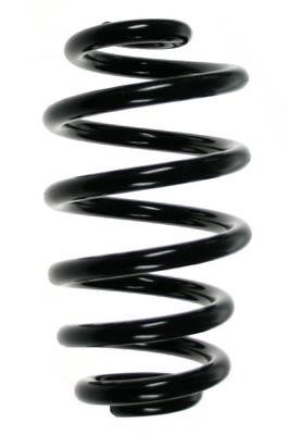 GKN-Spidan 56864 Coil Spring 56864