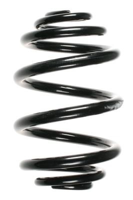 GKN-Spidan 56971 Coil Spring 56971