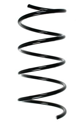 GKN-Spidan 85198 Suspension spring front 85198