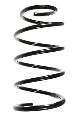 GKN-Spidan 85393 Suspension spring front 85393